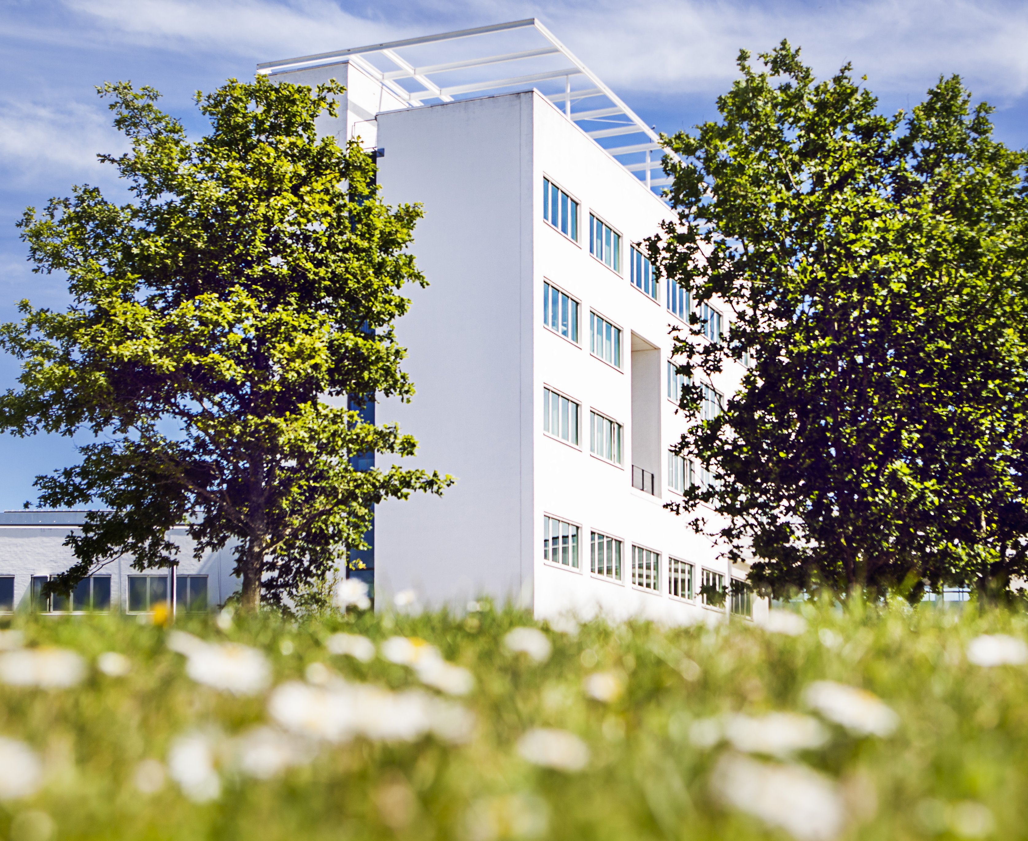 A white building surrounded by trees